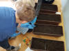 20190327_110416