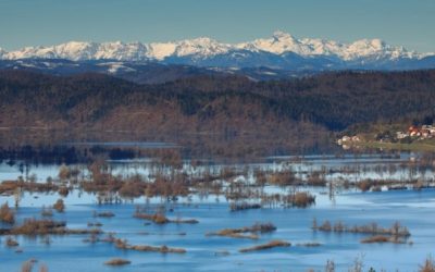 2. FEBRUAR – SVETOVNI DAN MOKRIŠČ