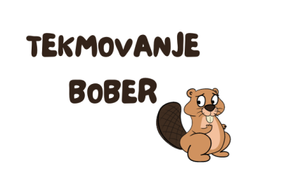 Šolsko tekmovanje Bober