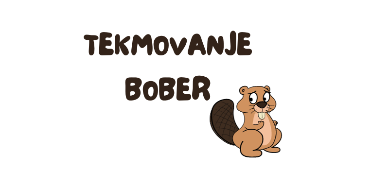 Državno tekmovanje Bober